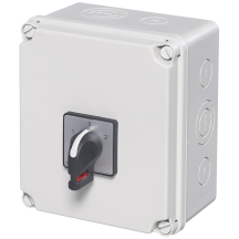 Changeover Switch DP Enclosed 25A