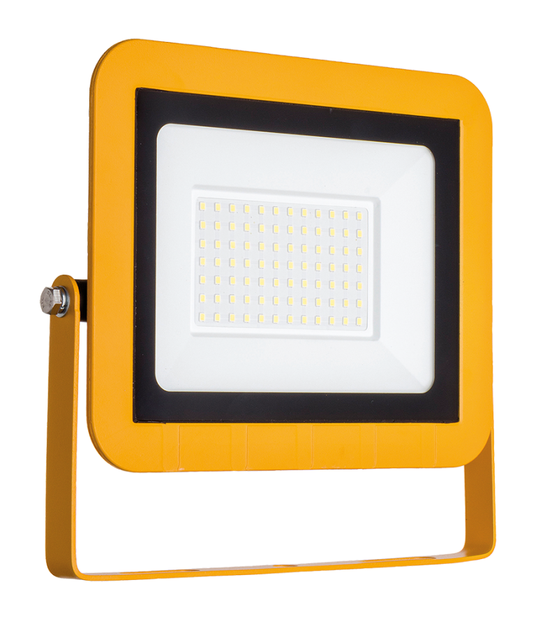 50W 110V FLOODLIGHT IP65