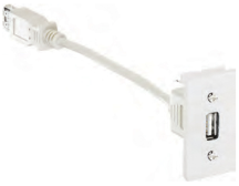 25x50mm Module USB 2 Panel Mounted Socket Type A (Female Mounted -Female Free) White