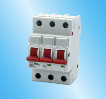 100A 3P MAIN SWITCH