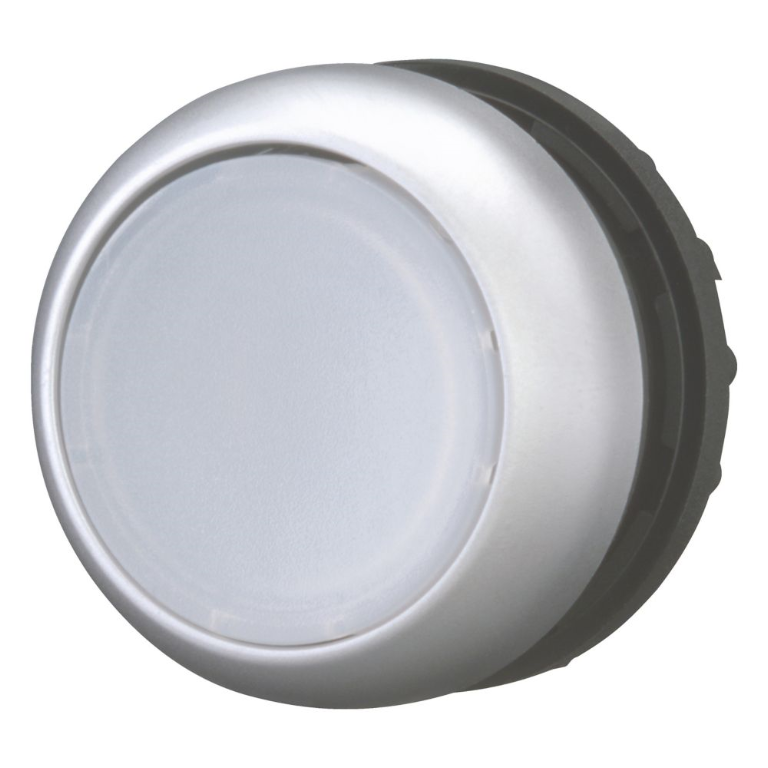 Illuminated Pushbutton White