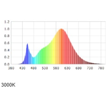 SCT NON-CORR BTN 62W