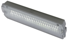 Ansell Guardian IP65 4w Emergency LED Bulkhead