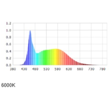 SCT NON-CORR BTN 62W