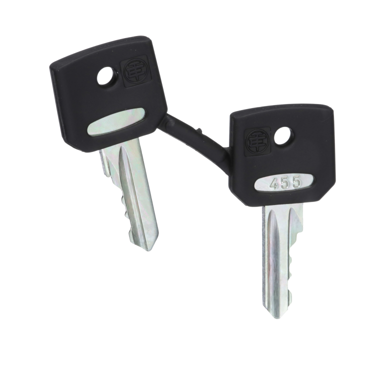 Set Of 2 Ronis 455 Keys