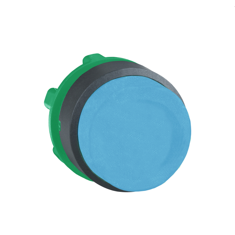 Pushbutton Head Projecting Blue