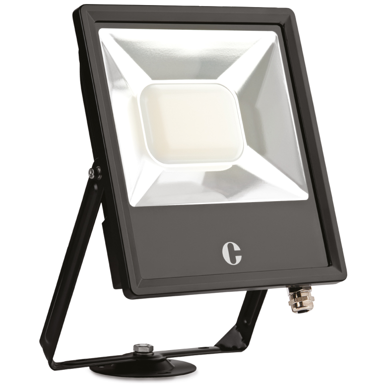 Collingwood FL10BXCS Floodlight Colour Switchable 100W