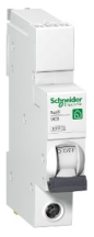 Schneider Square D IKQ 40A Single Pole 10kA C Curve MCB