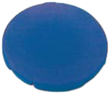 Button Plate Flush Blue