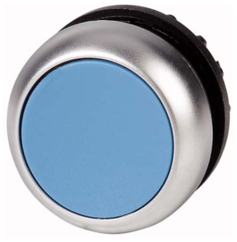 Pushbutton Flush Blue