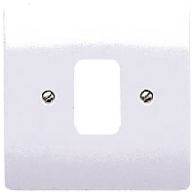 1G MOULDED COVERPLATE