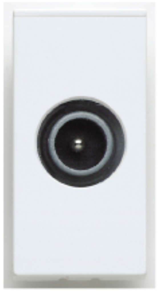 Module Coaxial Outlet White