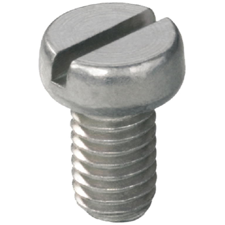 Clamping Screw M5x8 BS