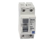 Lewden 100A 2 Pole 100mA Type A Selective Time Delay RCD