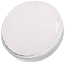 Luminaire LED Energy Saver Wall/Ceiling Oval 12W White Slim IP54