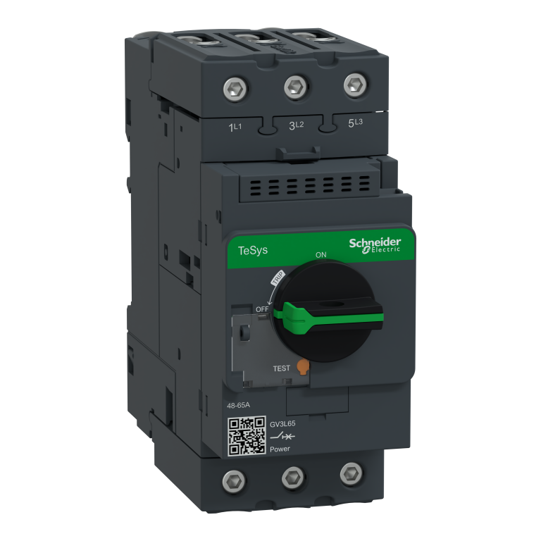 Circuit Breaker GV3L, 65A Triple Pole