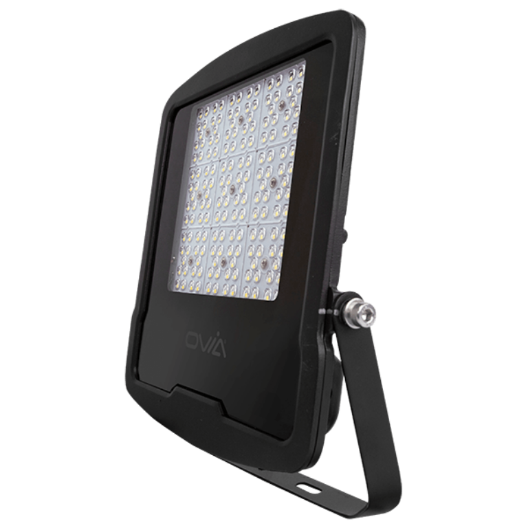 Ovia OV102100BKCW Floodlight 100W Blk