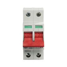 Wylex 100A DP Main Switch